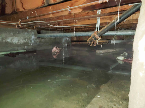 Water damage restoration mold remediation in NC