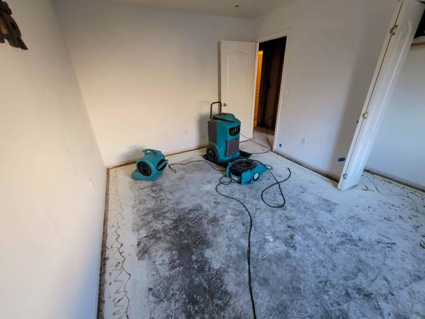 Best Carpet water damage restoration  in Andrews, NC